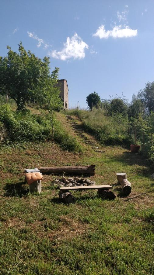 Podere Cerrete - Eco Farmhouse Castel del Piano  Extérieur photo